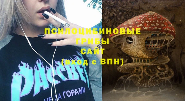 бошки Абдулино
