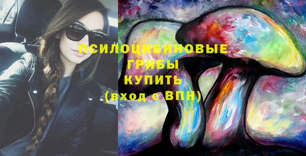спайс Алзамай